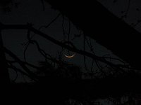 27 March 2009 Abib New Moon by Linda L